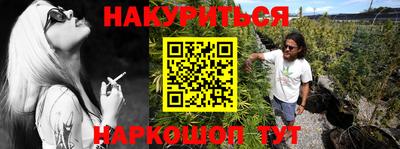 индика Гусев