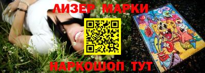 индика Гусев
