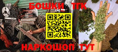 индика Гусев