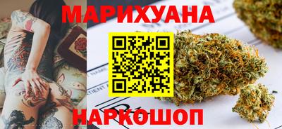 индика Гусев