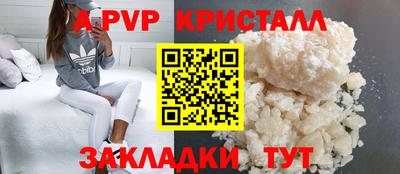 индика Гусев