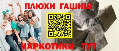 индика Гусев